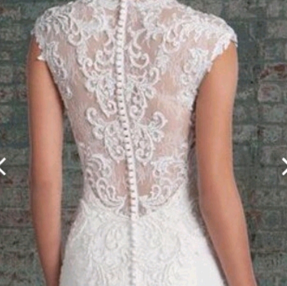 Wedding Dress - Picture 3 of 8